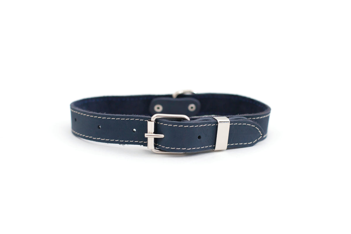 Everyday Companion Leather Dog Collar by Euro-Dog