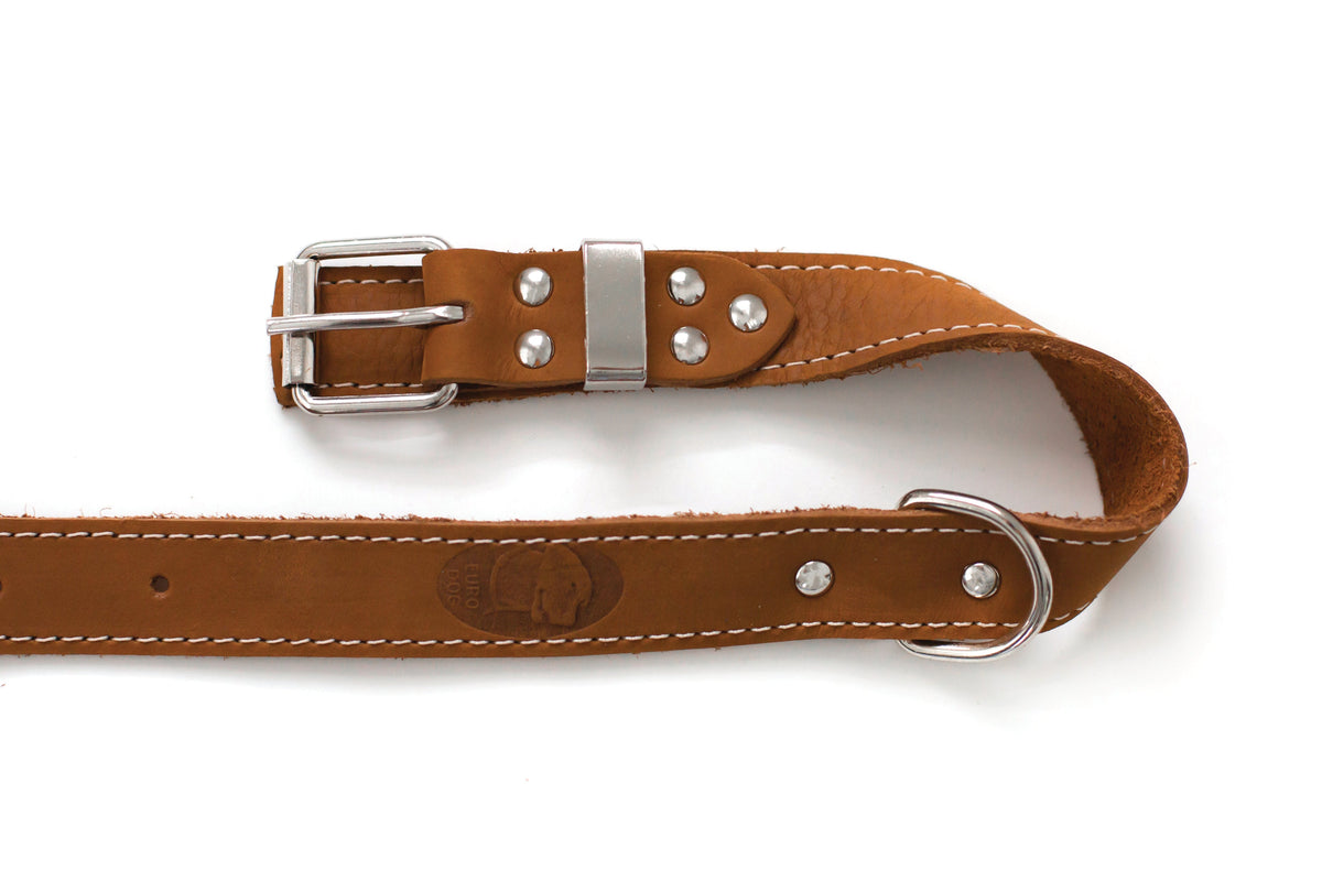 Everyday Companion Leather Dog Collar by Euro-Dog