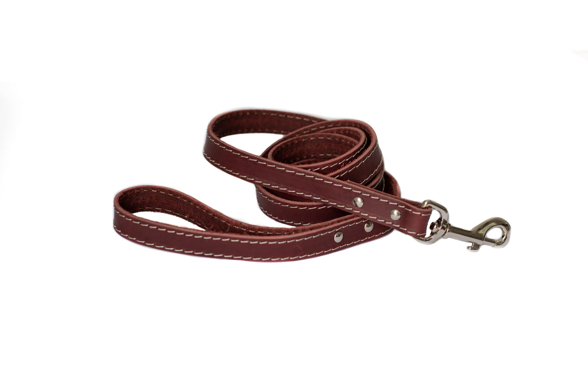 Everyday Companion Leather Dog Leash by Euro-Dog — 6 ft