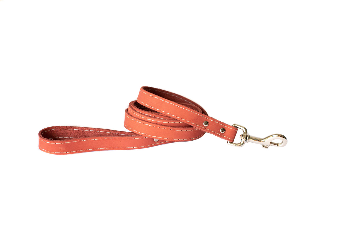 Everyday Companion Leather Dog Leash by Euro-Dog — 6 ft