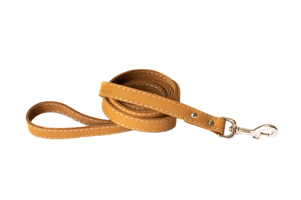 Everyday Companion Leather Dog Leash by Euro-Dog — 6 ft