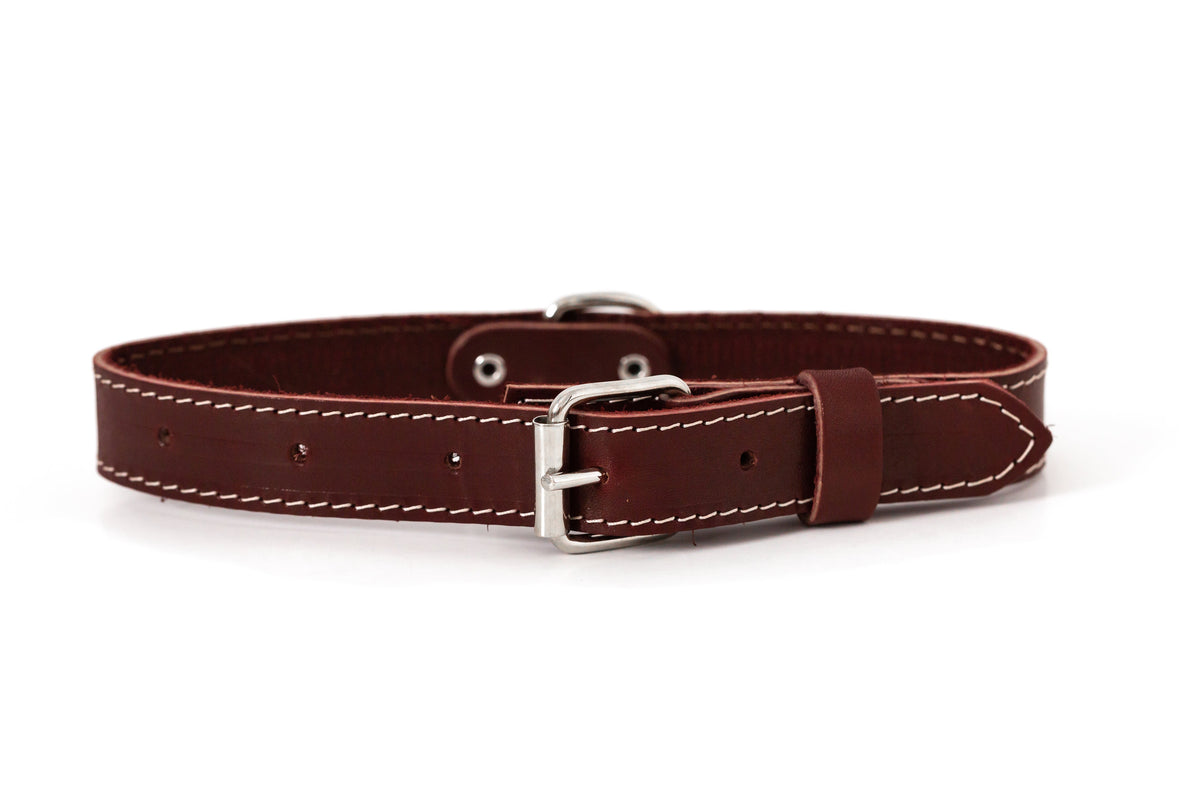 Everyday Companion Leather Dog Collar by Euro-Dog