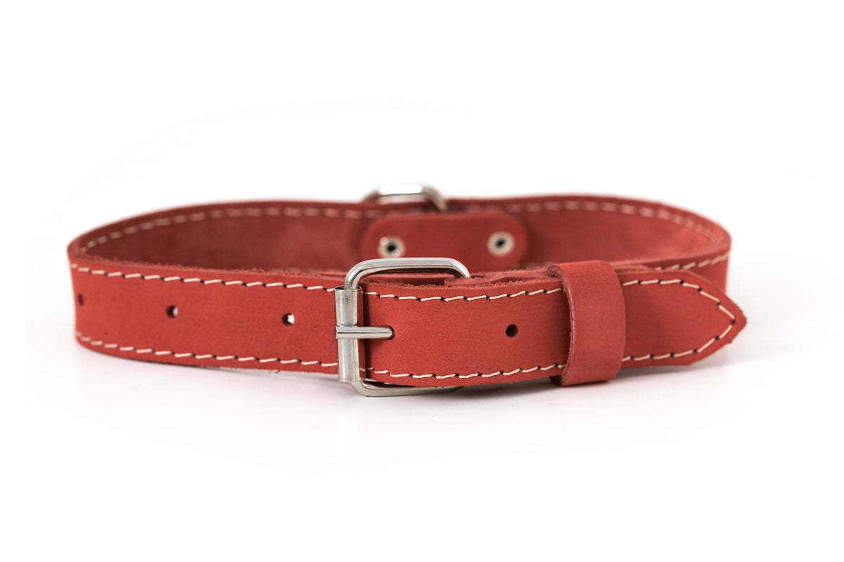 Everyday Companion Leather Dog Collar by Euro-Dog