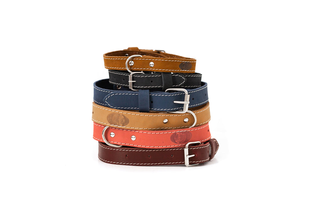 Everyday Companion Leather Dog Collar by Euro-Dog